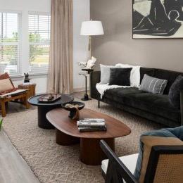 furnished living room with bright window