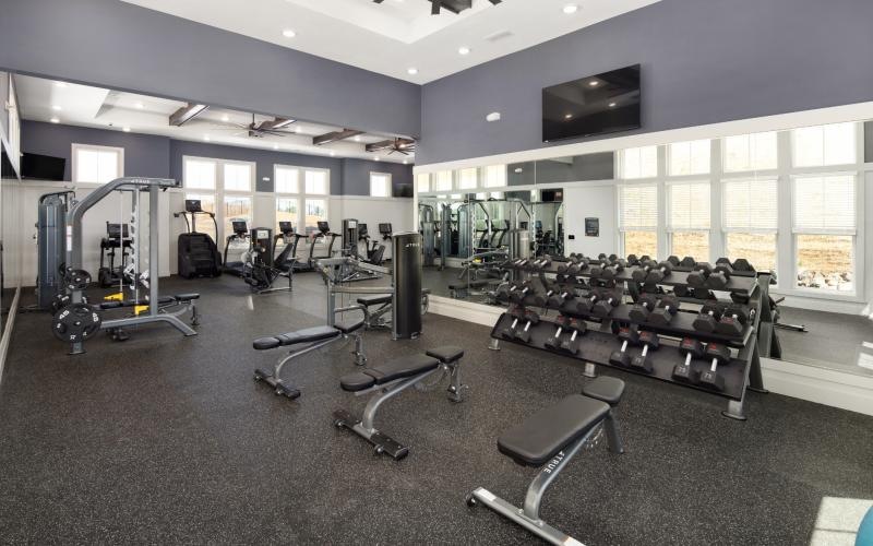 free weights and benches in gym